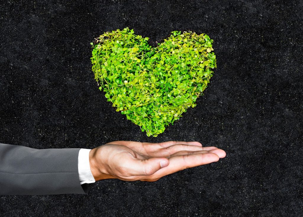 Grant for going green Grant for going green